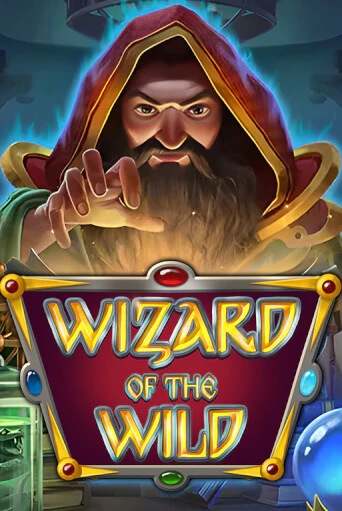 Wizard of the Wild бесплатная демо игра | Вулкан Клуб без регистрации