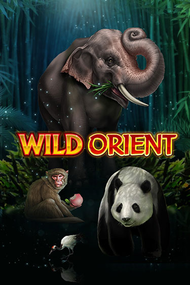 Wild Orient бесплатная демо игра | Вулкан Клуб без регистрации